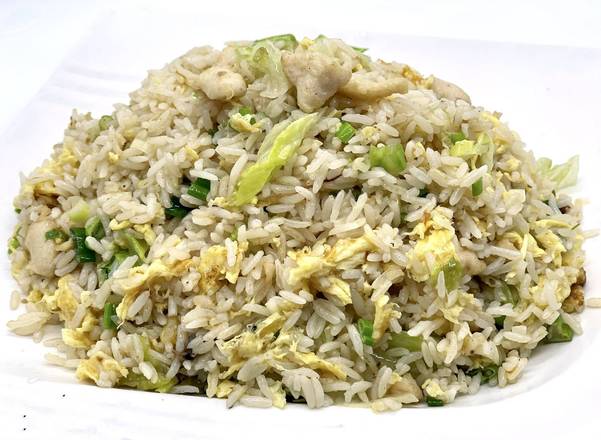 Riz Frit au Poisson Salé et au Poulet/鹹魚鸡粒炒飯/Salted Fish and Chicken Fried Rice